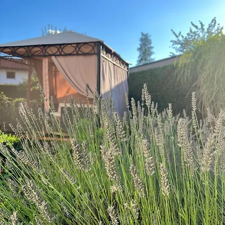 Grosses Mit Terrasse Und Garten Apartman Oberhaching
